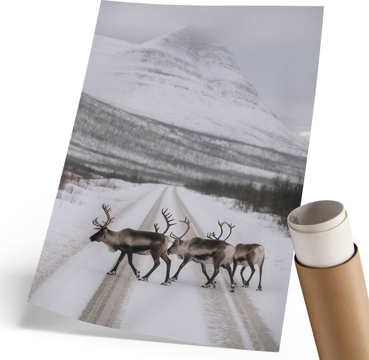 Coloray Polycanvas Wandposter - Winterlandschap, Fotografie - 210 x 297 mm - Wit Wanddecoratie - Rechthoek - Canvasposter - Woonkamer, Slaapkamer, Kantoor - Klassiek
