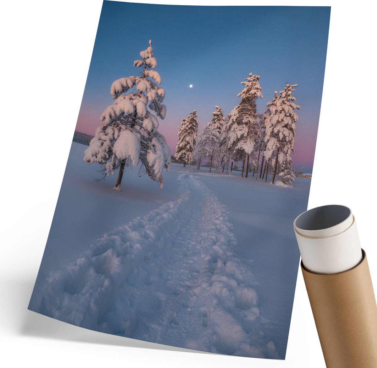 Coloray Polycanvas Wandposter - Winterlandschap, Fotografie - 210 x 297 mm - Wit Wanddecoratie - Rechthoek - Canvasposter - Woonkamer, Slaapkamer, Kantoor - Klassiek