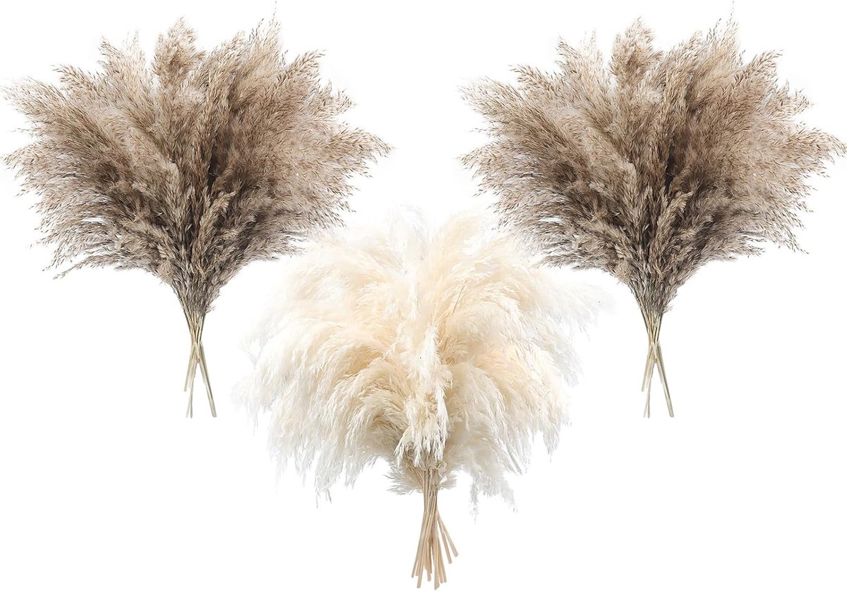 Pampasgras - Set van 36 - 43 cm - Boho - Wit