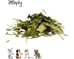 Zooply Smalle weegbree - Kruiden & Snacks - 100% natuurlijk - Voor konijnen & cavia's - 350 gram