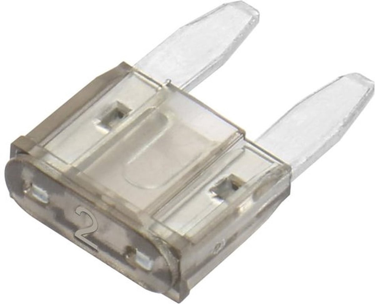 Mini-blade zekering - 2 A - Perfect voor auto en vrachtwagen - Grijs - Betrouwbare stroombeveiliging - Geschikt voor alle voertuigen - Kleur: ...