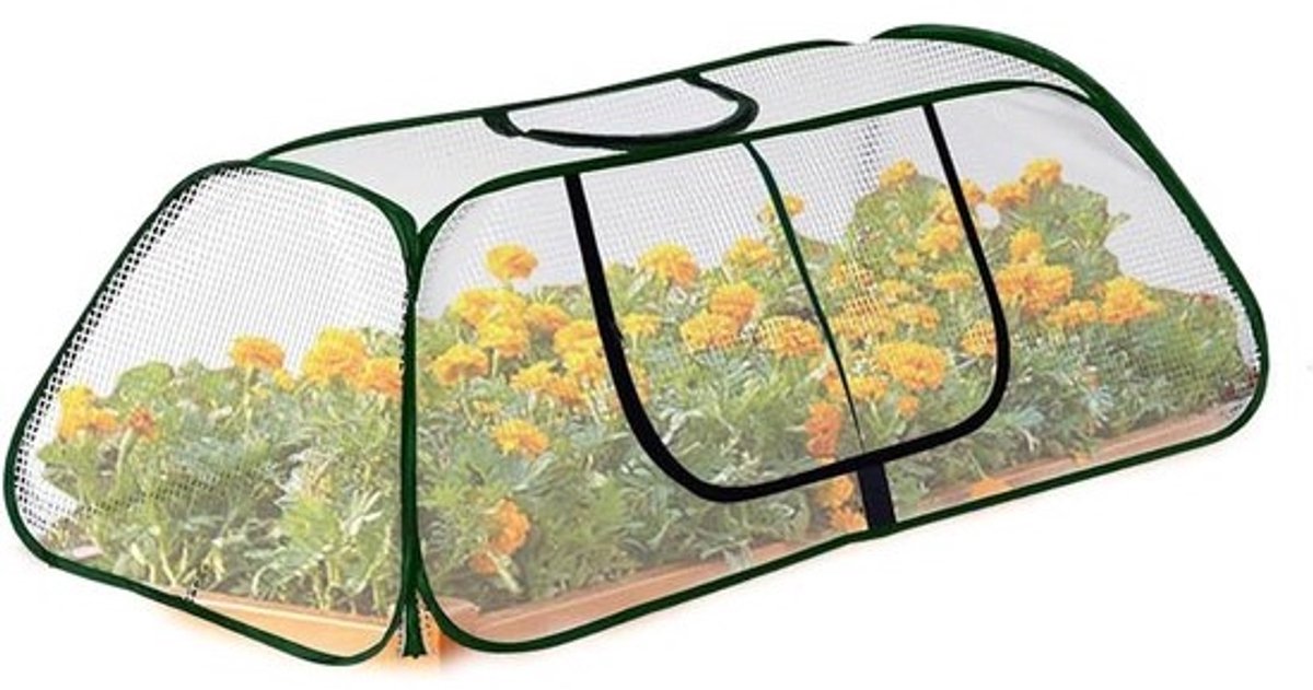 Kleine Broeikas - Beschermtent Planten - Zaailingen Kweken - Weerbestendig Ontwerp - 115 x 55 x 45 cm - Groen