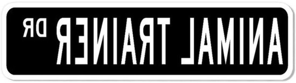Aluminium Straatnaambord - Gepersonaliseerd Bord Metalen Teken - Woonkamer Decoratie - Roestvrij Aluminium - 3x12 Inch - Patroon