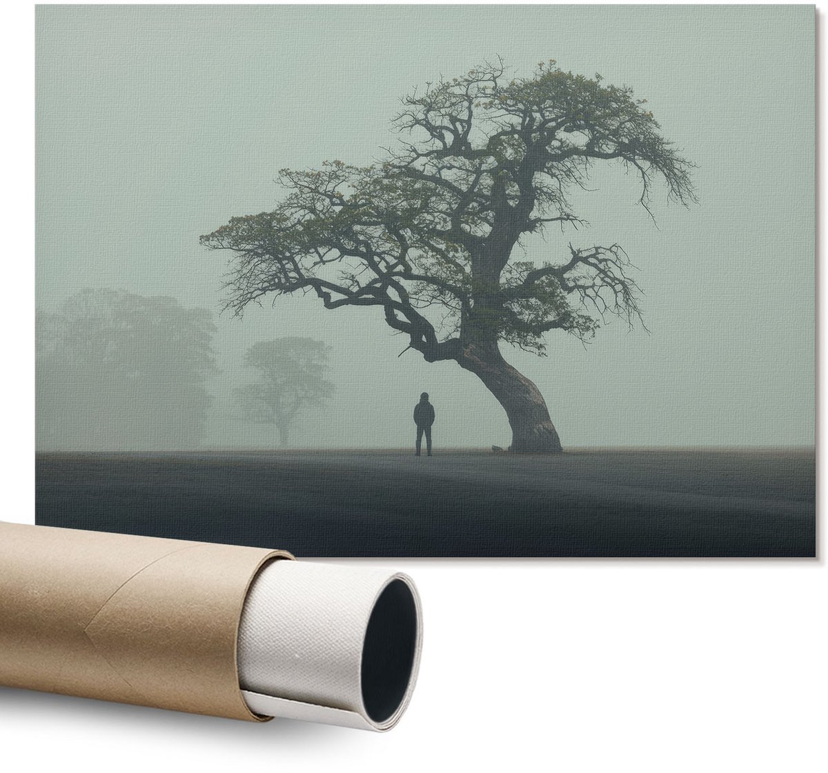 Coloray Polycanvas Wandposter - Bosavontuur, Fotografie - A1 - Groen Kunst - Rechthoek - Wandkunstwerk - Slaapkamer - Klassiek