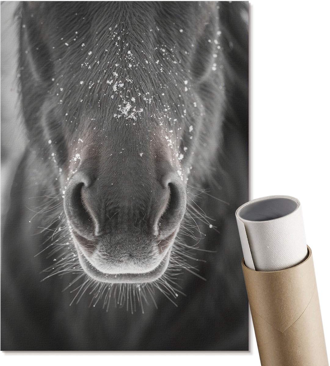 Coloray Canvas Poster Polycanvas - Paard En Sneeuw, Fotografie - A4 - Grijs Decoratie - Rechthoek - Decoratieve poster - Woonkamer, Slaapkamer, Kantoor - Modern