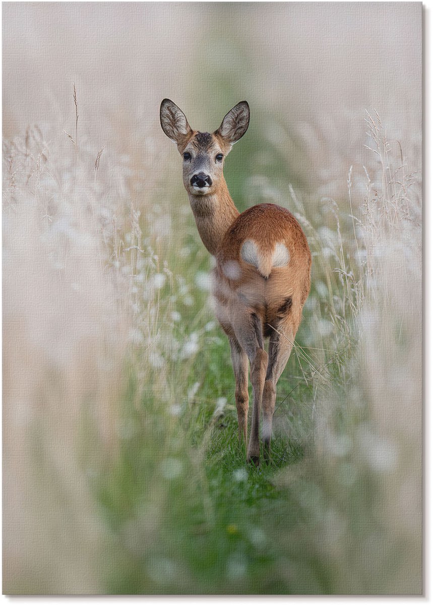 Tulup Polycanvas Poster - Herten Natuur, Fotografie - A4 - Groen Wanddecoratie - Rechthoek - Muurdecoratie - Woonkamer, Slaapkamer, Kantoor - Klassiek