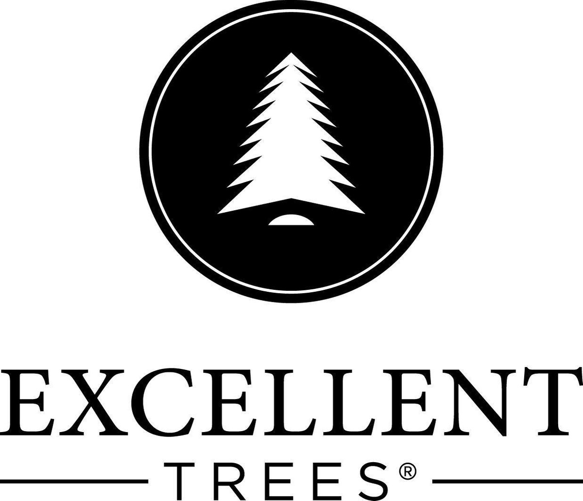 Excellent Trees® LED Ulvik 240 cm - Premium Kerstboom met 560 lampjes ⌀155cm - 240cm – foto 5