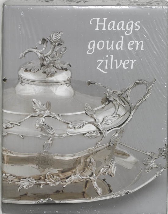 Cover van het boek 'Haags goud en zilver' van J. Pijzel-Domisse