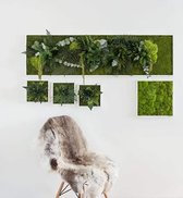 Stylegreen Verticale tuin - Pole moss - 35 x 35 cm