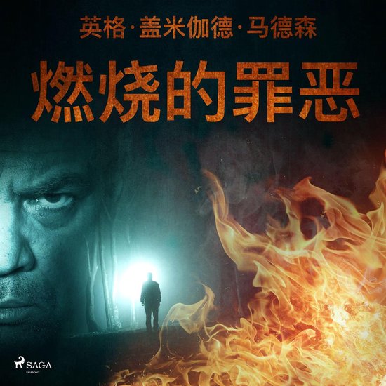 燃烧的罪恶 - cover