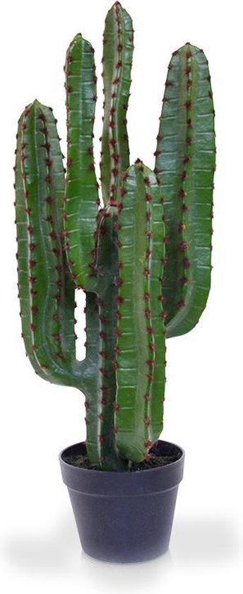 Euphorbia kunst Cactus 70 cm in pot