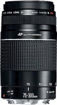 Canon EF 75 - 300mm - f/4-5.6 III USM