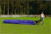 BEEZTEES BZ AGILITY TUNNEL MET ZAK 500X60X60