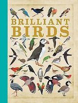 Brilliant Birds