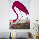 Wandkleed Flamingo van John James Audubon