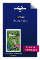 Guide de voyage - Brésil - Brasília et Goias