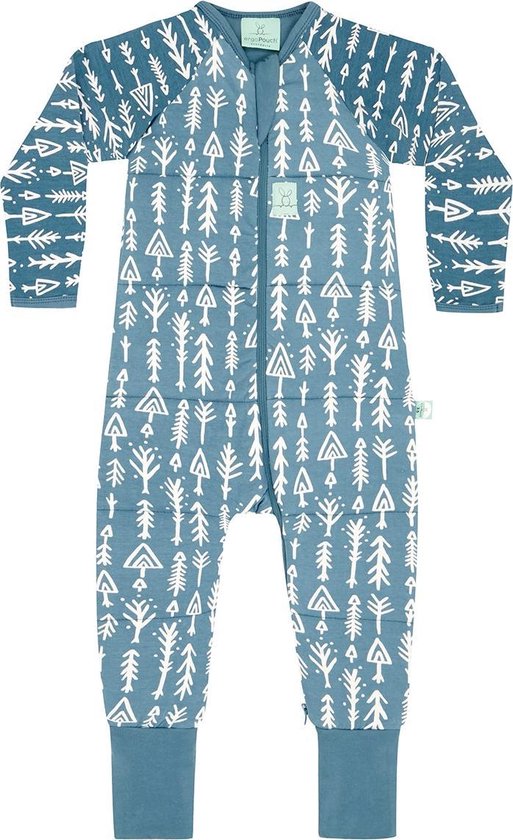 ergoPouch Baby Pyjama Onesie Met Rits WINTER - TOG 2.5 (BLAUW, 2y) | bol.com