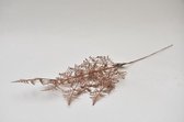 Kunstbloemen En Overige - Asparagus Spray Copper 86cm