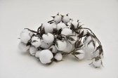 Kunstbloemen En Overige - Cotton Garland White 107cm