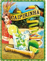 Caipirinha Cocktail Wandbord - Metaal - 15 x 20 cm