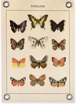 Villa Madelief | Tuinposter vlinders | 50x70cm | Vinyl | Tuindecoratie | Tuinschilderij