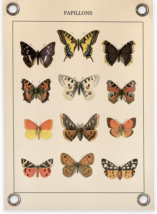 Villa Madelief Tuinposter vlinders - 50x70cm - Vinyl - Tuindecoratie - Tuinschilderij - Schuttingposter - Tuindoek - Buitenposter voor in de tuin - Waterafstotend - Organische Collectie