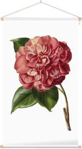 Textielposter Botanisch Camelia Aquarel (Camelia) - 40 x 70 cm