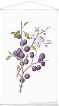 Sleedoorn (Blackthorn) - Foto op Textielposter - 60 x 90 cm