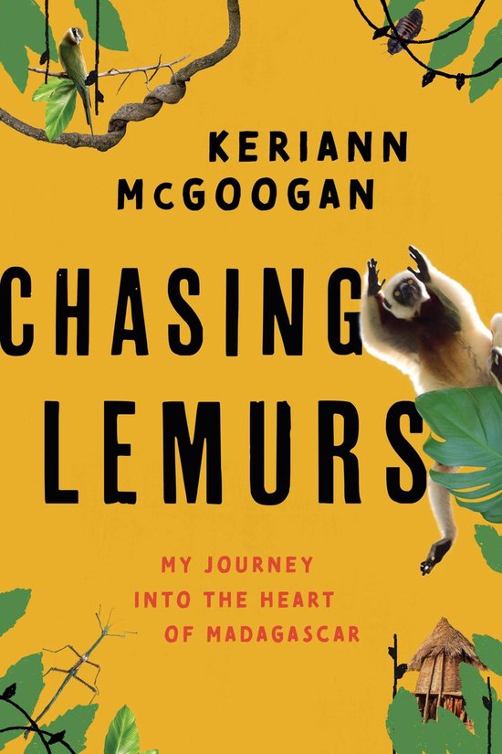 Chasing Lemurs - cover