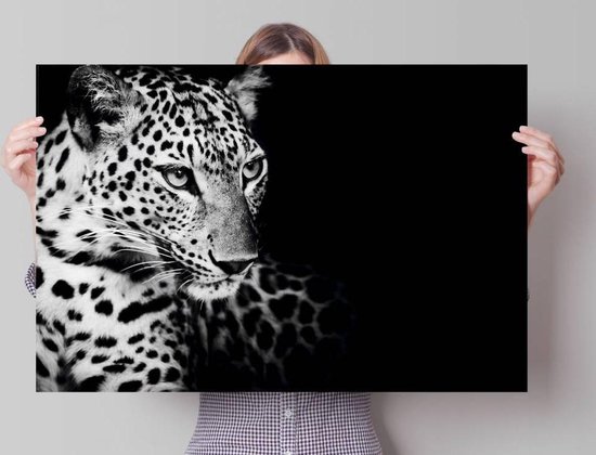 - 24801 - cm leopard Reinders - no. Poster 91,5 of Kings Nature - 61 × Poster