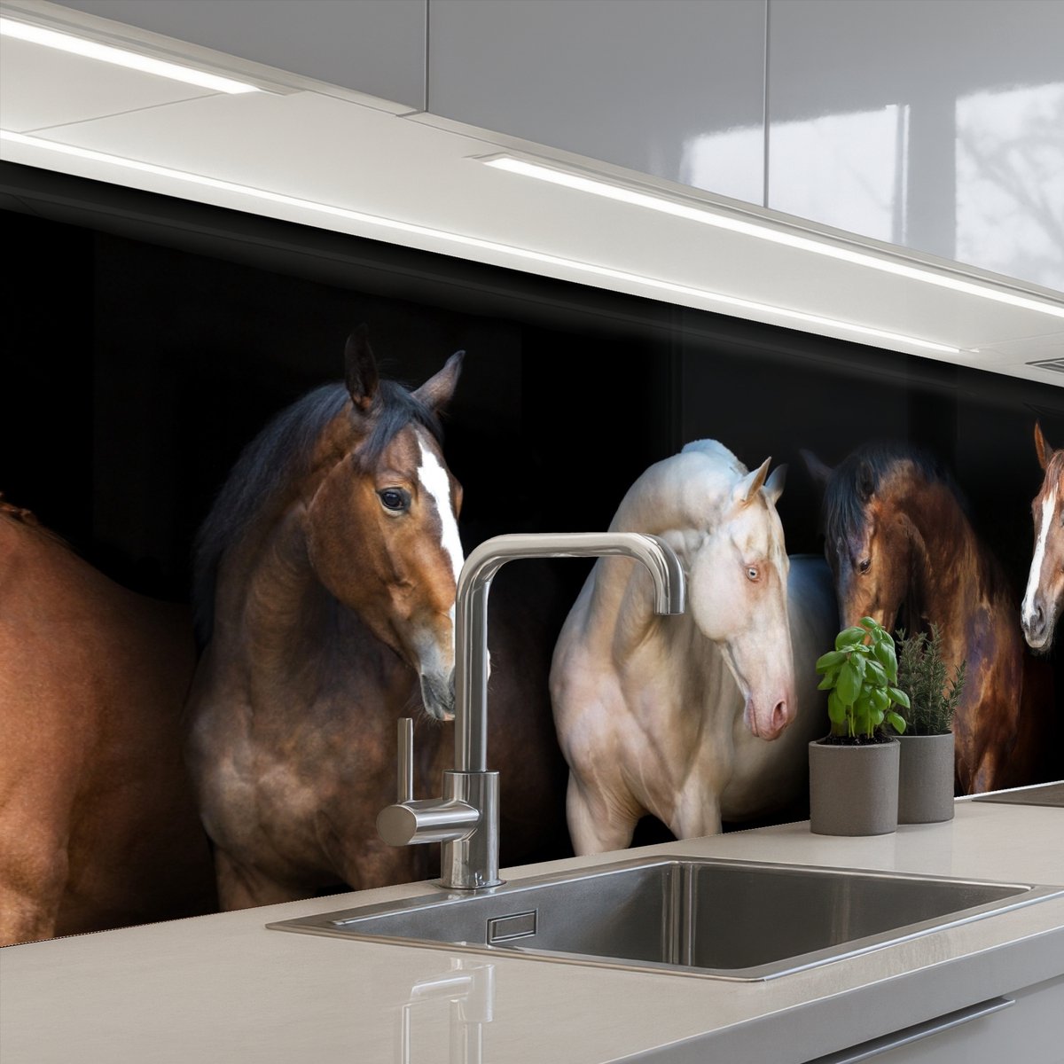 Keuken achterwand 200x60 cm - Spatscherm zelfklevend Paard - Dieren - Zwart - Muurbeschermer - Spatwand fornuis