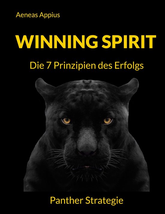 Winning Spirit - cover