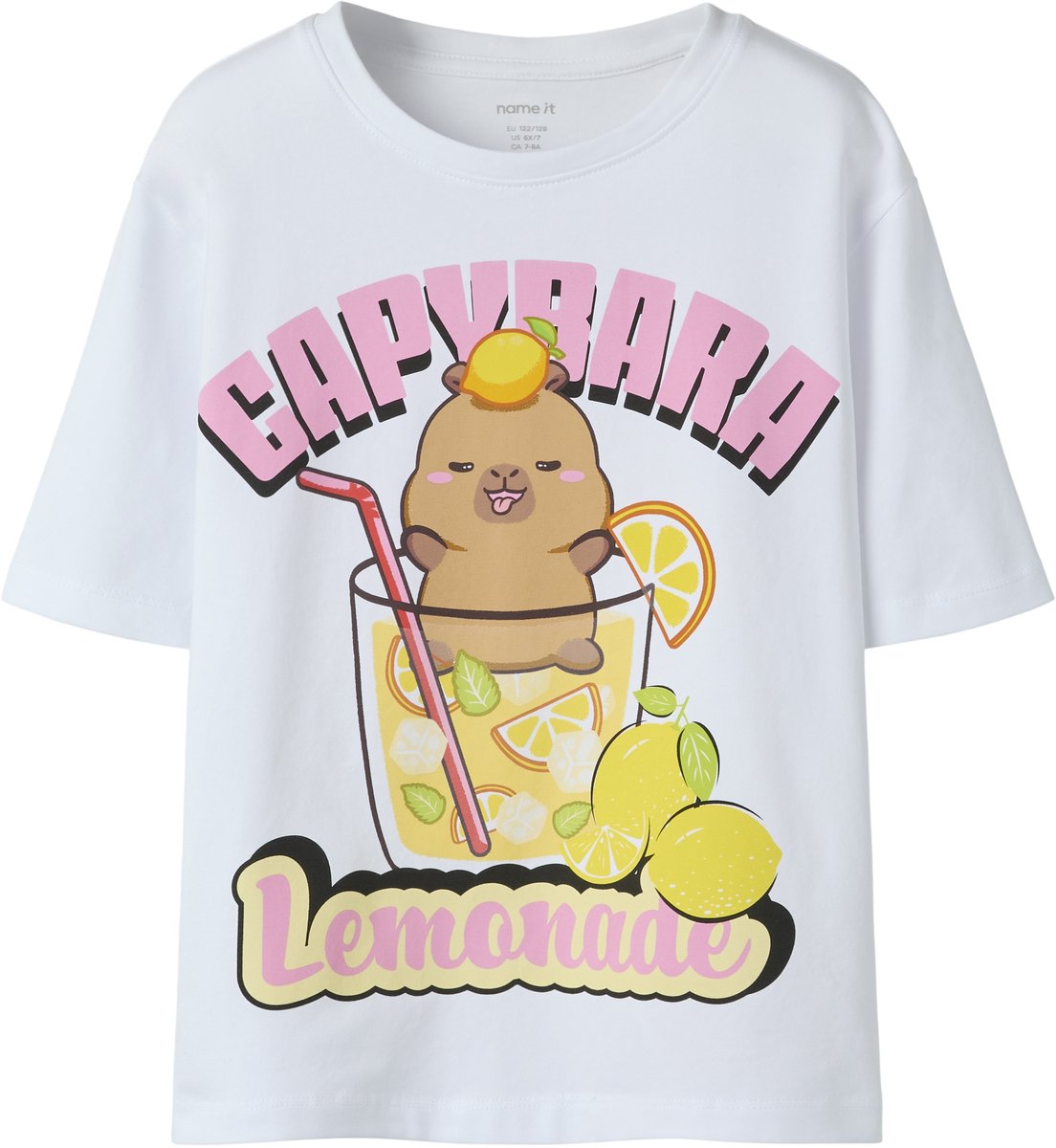 NAME IT - NKFABINA CAPYBARA SS NREG TOP LNOOS SKY - Meisjes - T-shirts