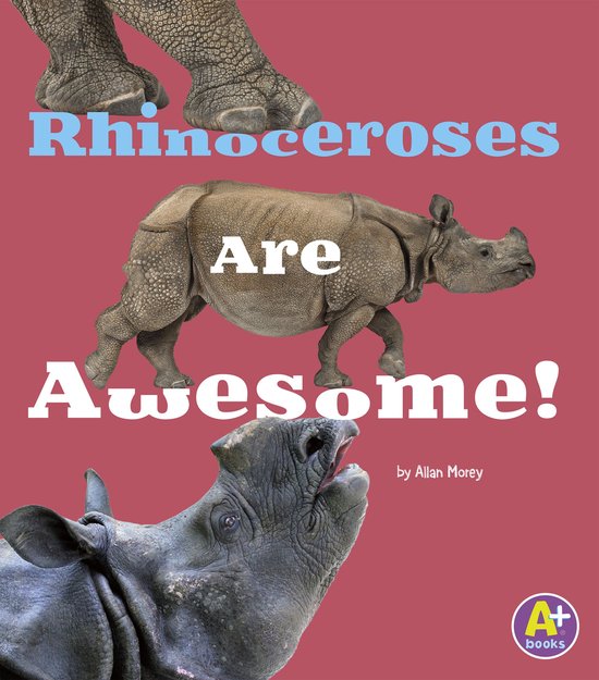 Awesome Asian Animals - Rhinoceroses Are Awesome!