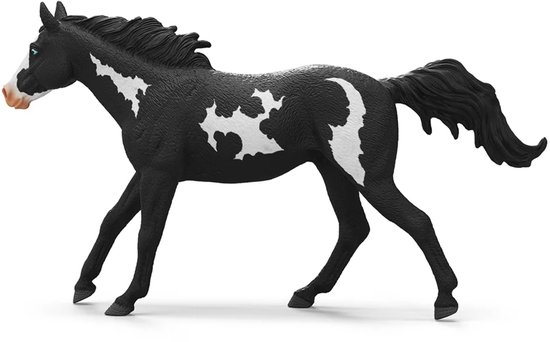 Zwart-wit gevlekte paint ruin, in galop, met witte bles en roze neus.