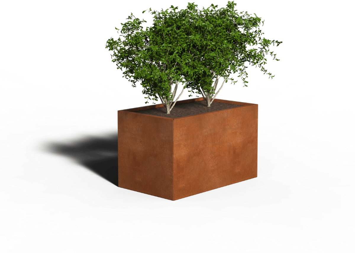 Cortenstaal Plantenbak Rechthoek | 100 x 60 x 40 | Zonder bodem