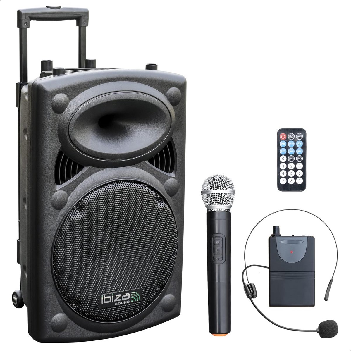 Draagbare Zwarte Speaker 12 Inch 700W MAX met 2 Microfoons, Bluetooth en Afstandsbediening