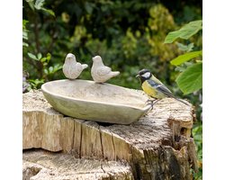 CJ Wildlife Vogeldrinkschaal voor Tuinvogels - Licony - Waterschaal van Beton - Vogelbad voor Buiten - Drinkschaal - Vogeldrinkbak