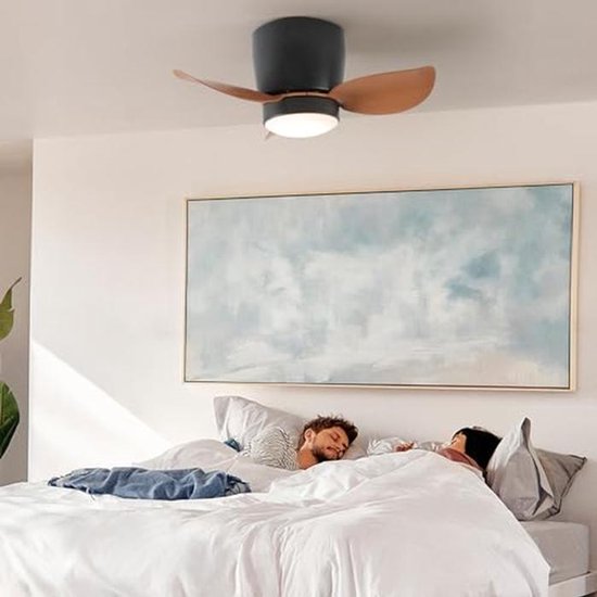 Zwarte plafondventilator dimbare LEDs en aanpasbare kleurtemperatuur Zwarte plafondventilator dimbare LEDs en aanpasbare kleurtemperatuur