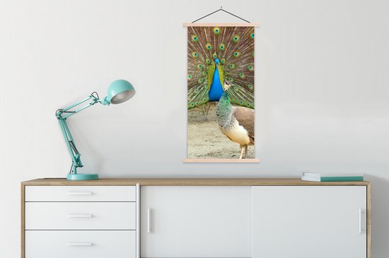 Porte-affiche avec affiche - Affiche scolaire - Paons - Vogels - Ressorts - 60x120 cm - lattes vierges