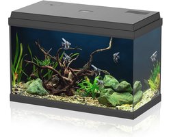 Glazen aquarium voor tropische vissen, 60 liter, compleet met accessoires en LED-verlichting