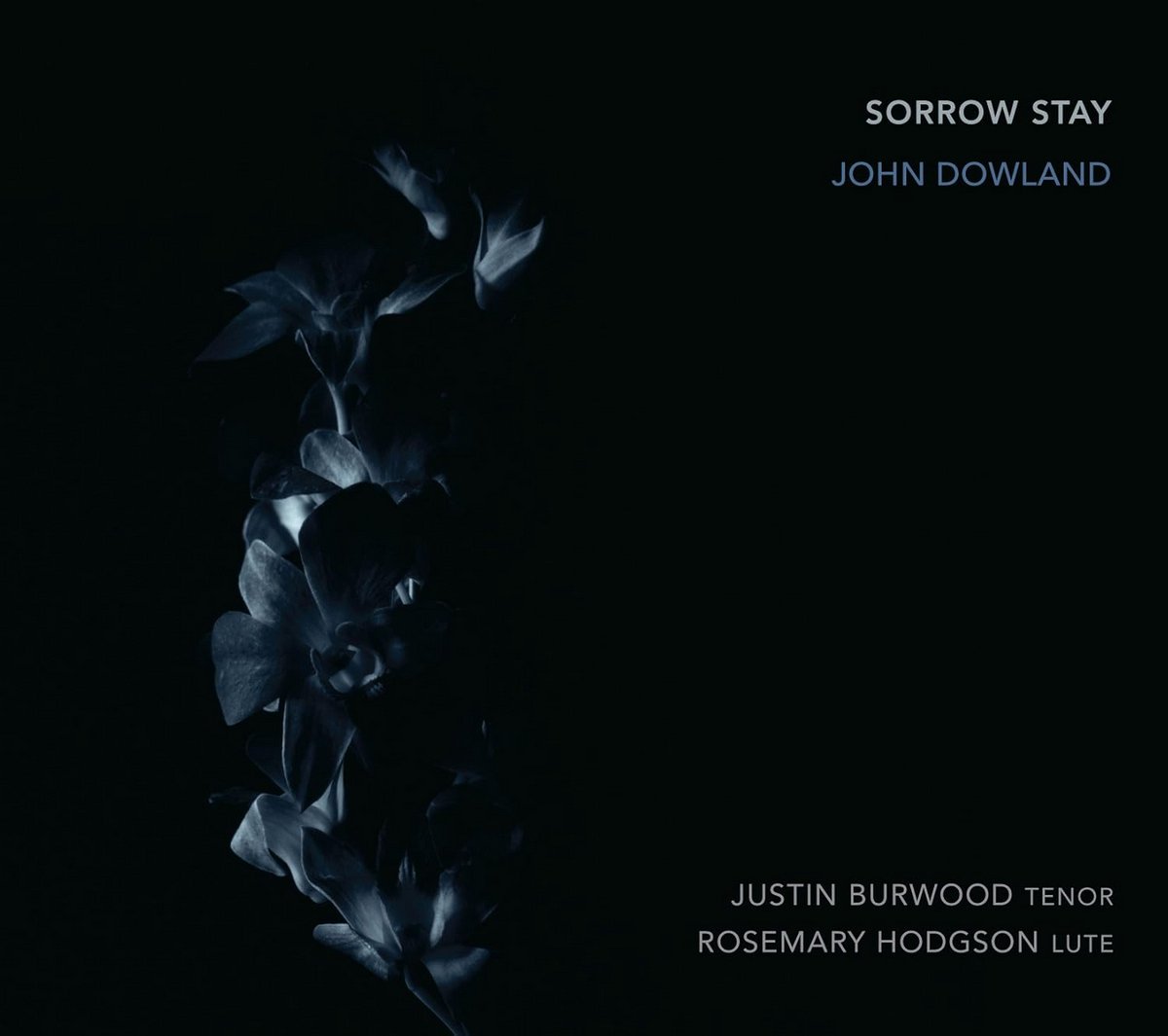 Muziekalbum - Sorrow Stay - Instrumentale CD of Vinyl