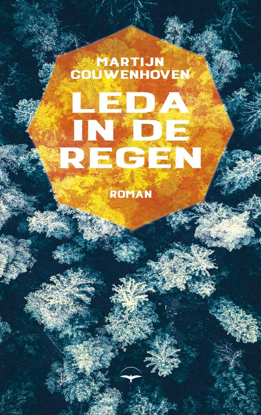Leda in de regen - cover
