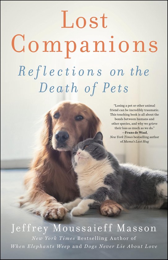 Lost Companions - cover