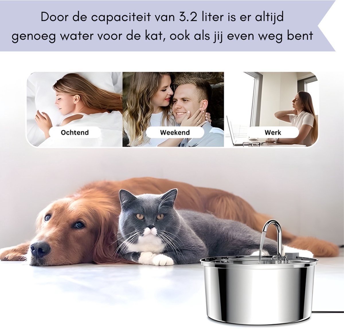 Caryota Katten Drinkfontein 3,2L RVS thumbnail 5