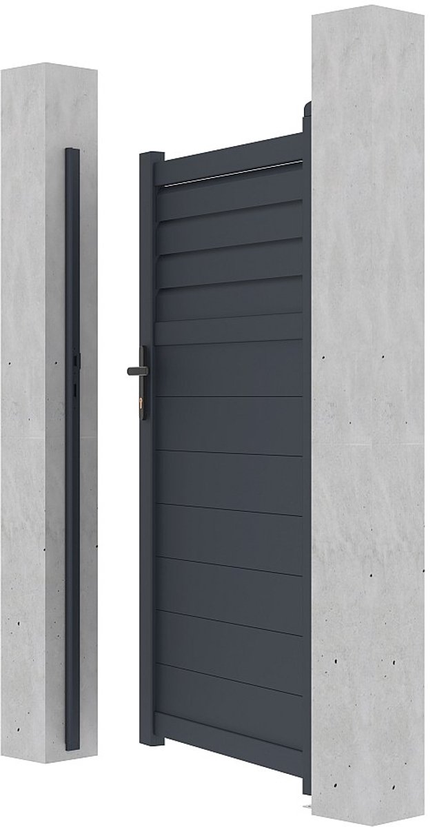 Vente-unique Draaipoort van aluminium - L103 x H180 cm Antraciet - VIAZO