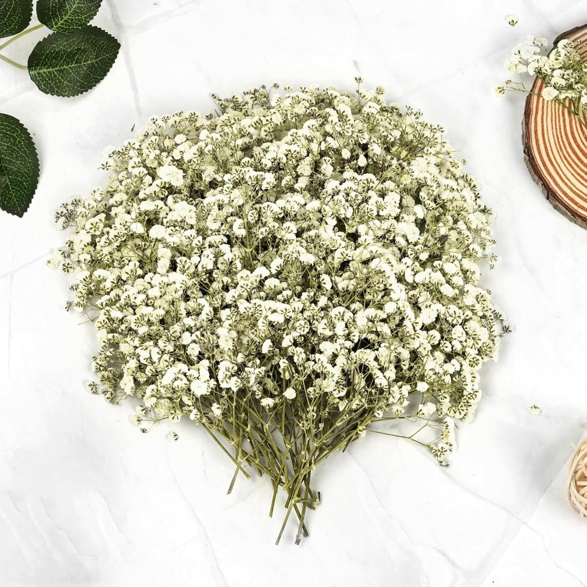 145 stuks gedroogde bloemen voor hars, sieraden, kaarsen en knutselen