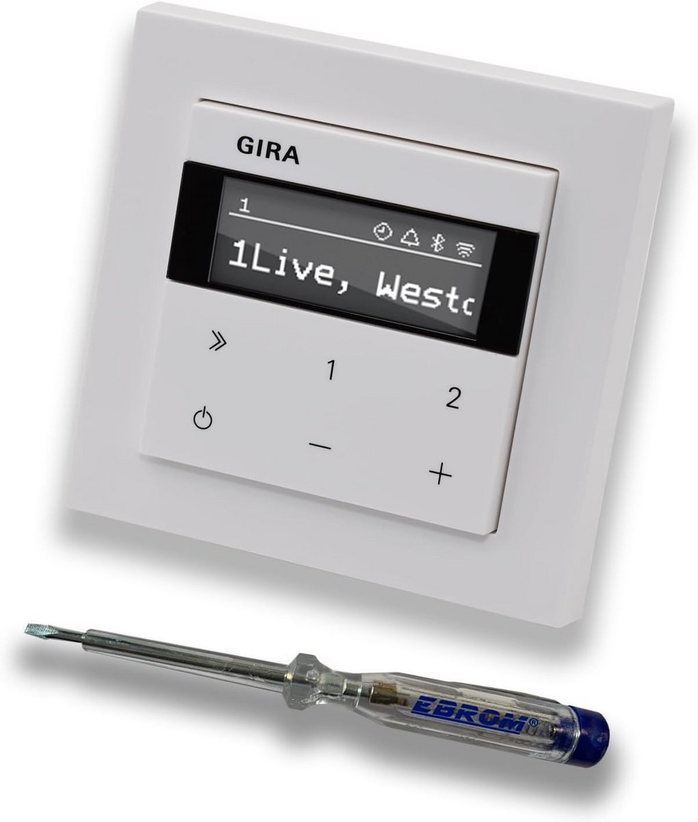 Inbouw Internetradio met Bluetooth en Montageframe in Zuiver Wit Glans