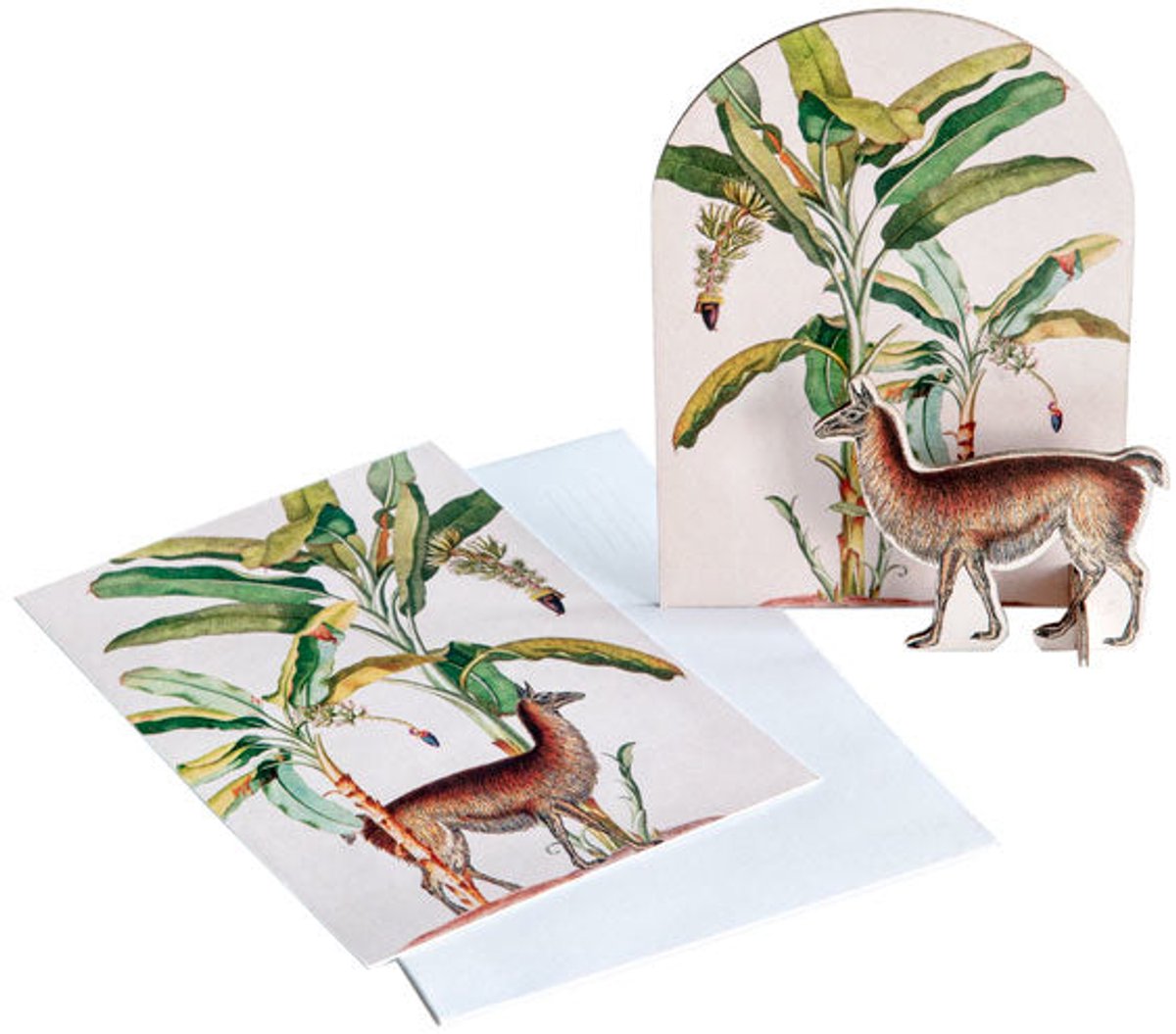 Pop-out kaart Dieren - Tropical Lama