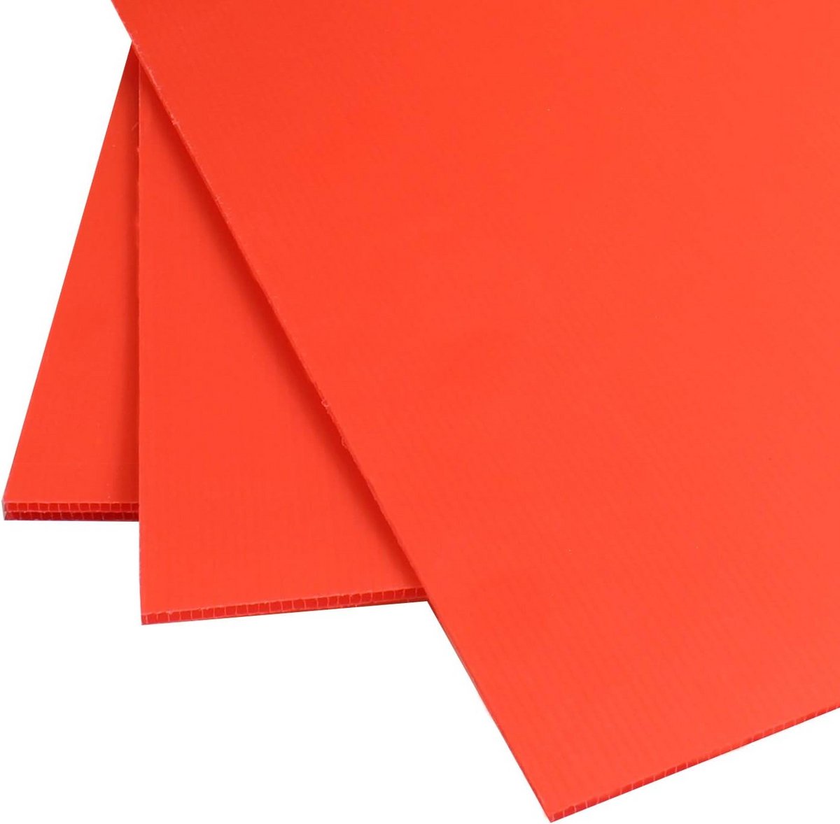 Set van 5 Gegolfde Kunststof Borden in Verschillende Kleuren en Maten